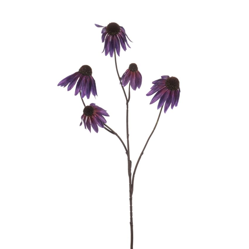 Echinacea spray purple 73cm