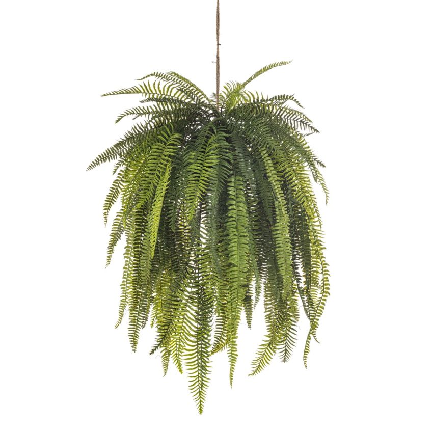 Nephrolepis hanging deco 140cm