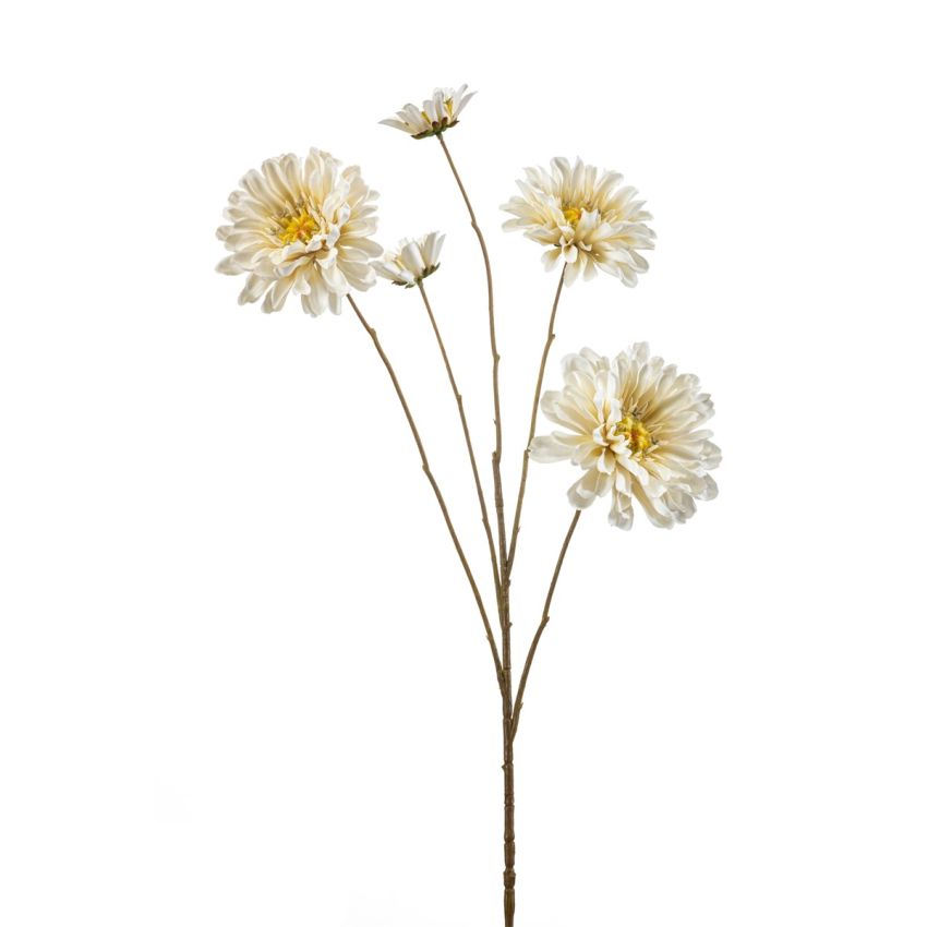 Zinnia spray cream 90cm