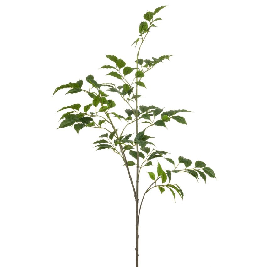 Sambucus spray green 105cm