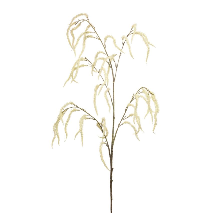 Amaranthus spray cream 100cm