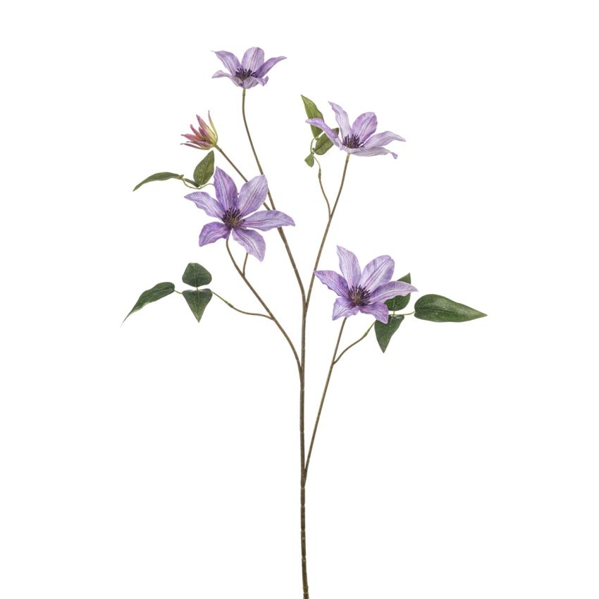 Clematis spray lt purple 102cm