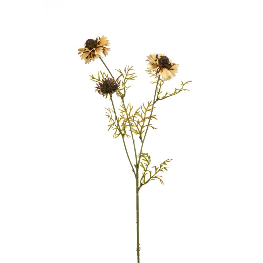 Scabiosa spray beige 68cm