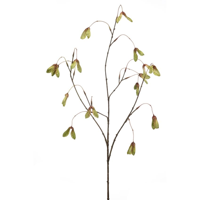 Maple seed spray green 100cm