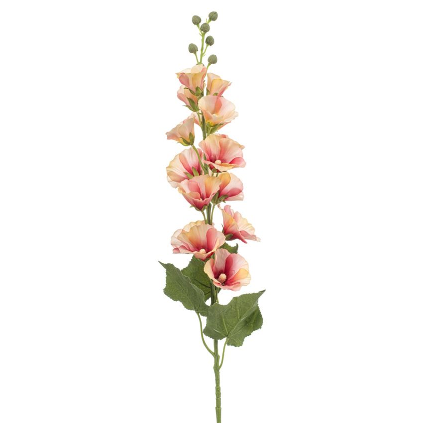 Alcea spray fuchsia/peach 105cm