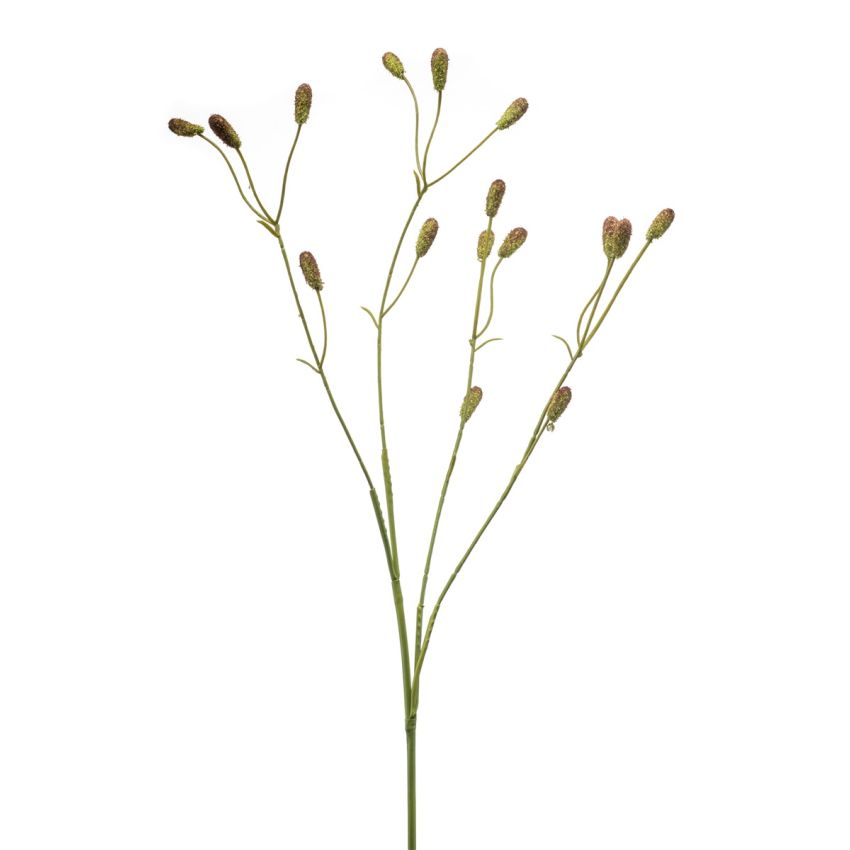 Sanguisorba spray green/brown 78cm