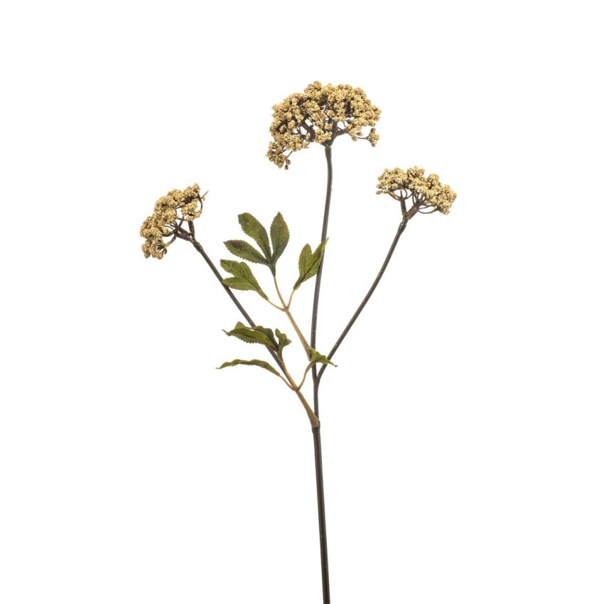 Achillea spray beige 70cm