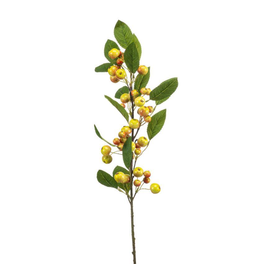Crab apple spray yellow 90cm