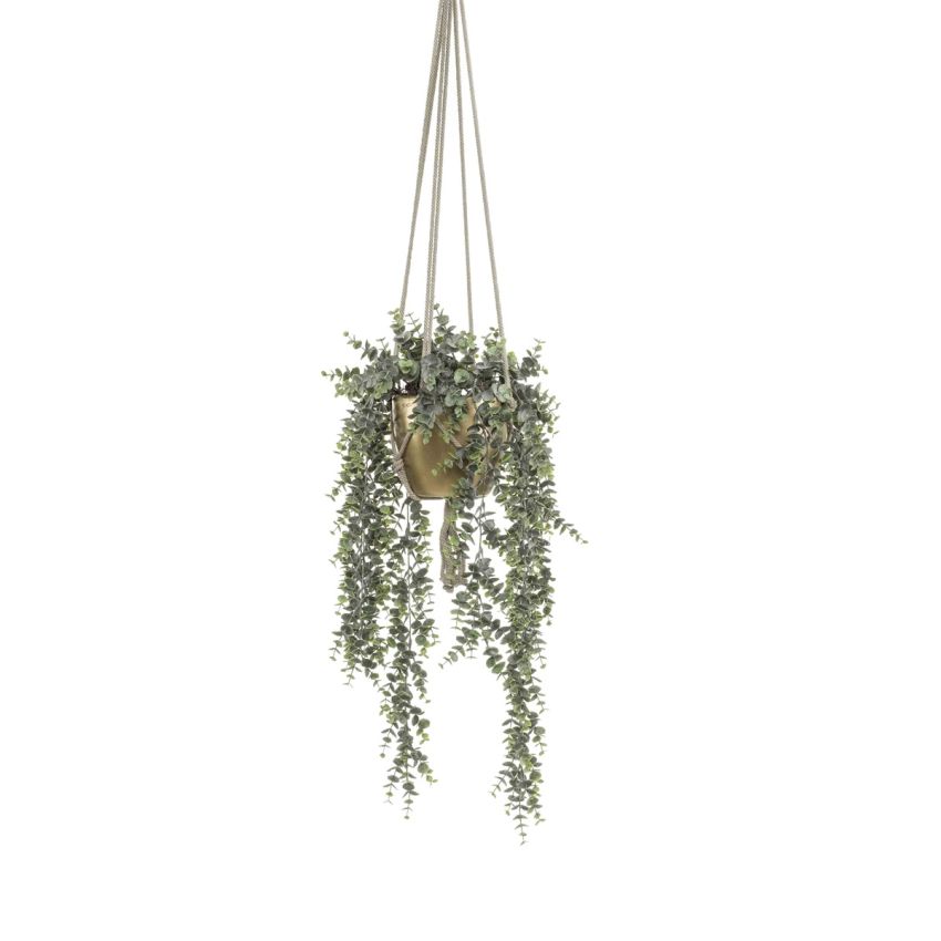 Eucalyptus hanging in pearlgold pot 130cm