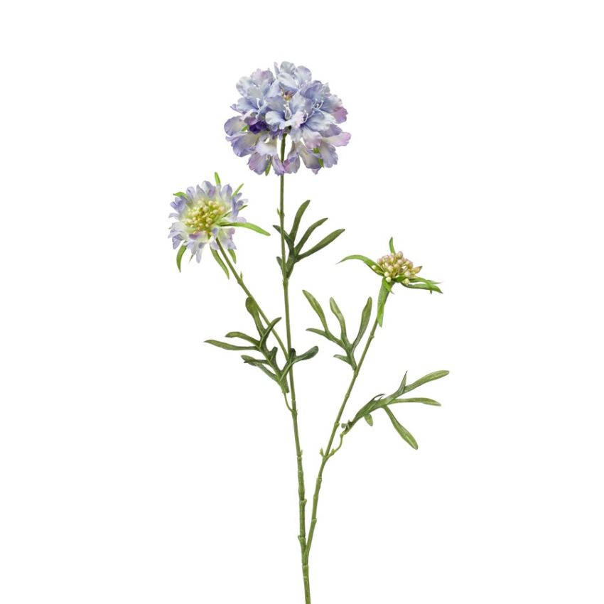 Scabiosa spray blue/purple 75cm