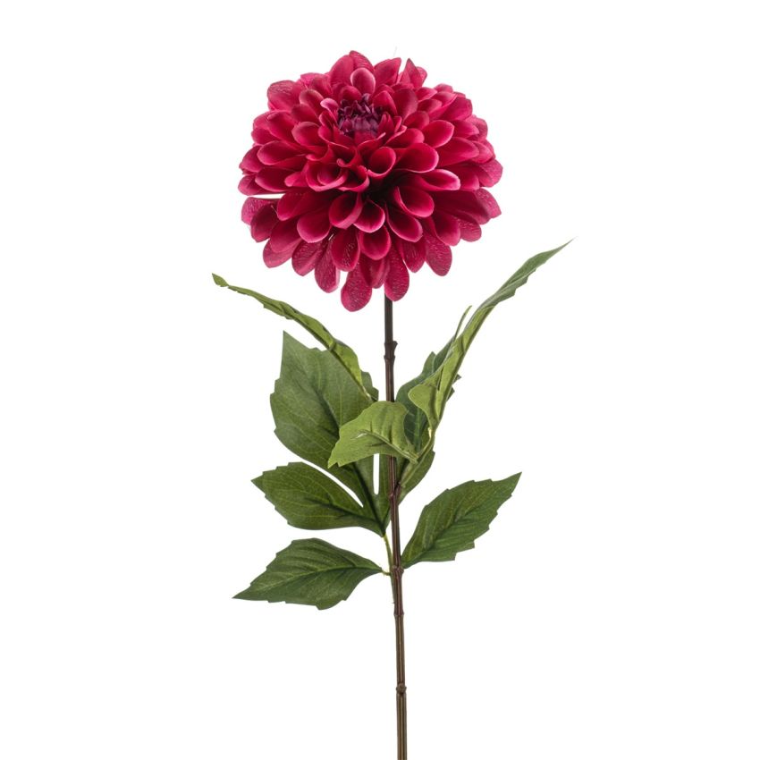 Dahlia pompon spray beauty 66cm