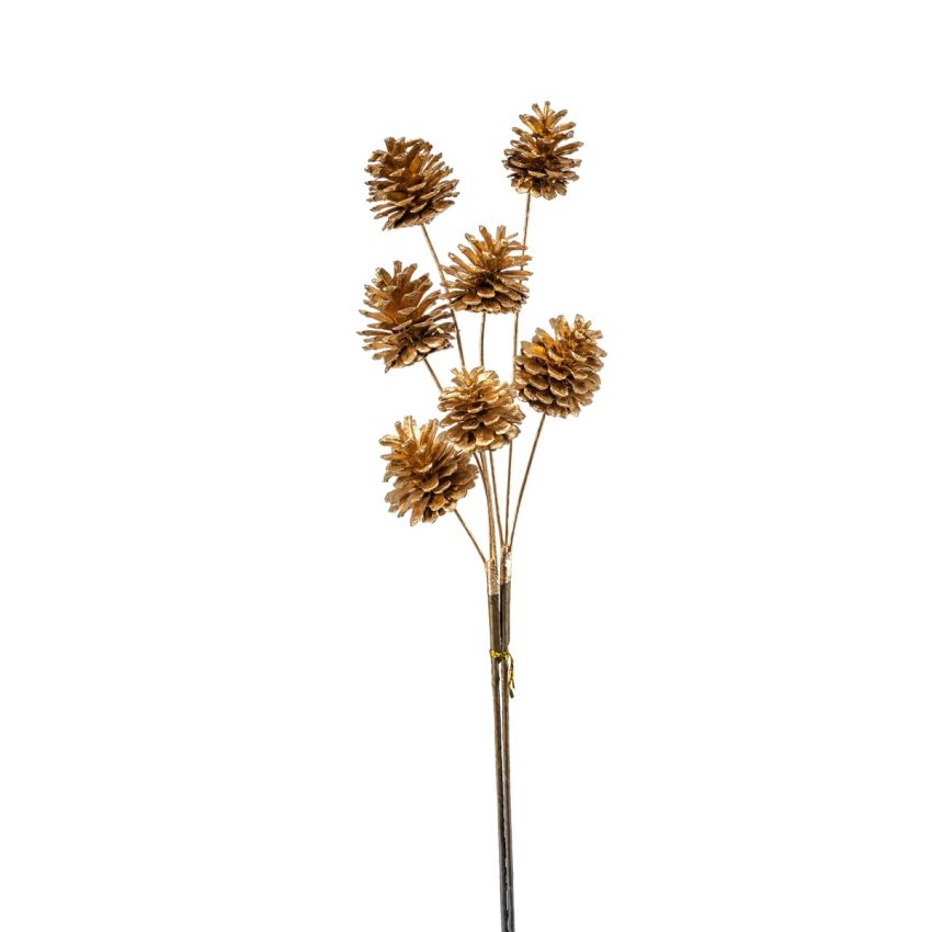 Cone bundle x7 gold 65cm