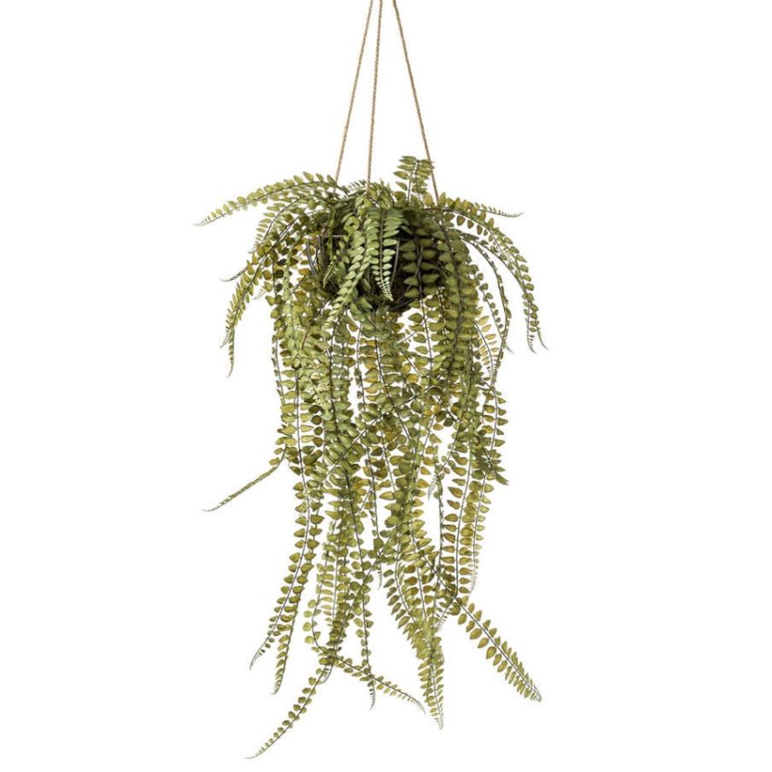 Fern on iron stand round hanging 130cm