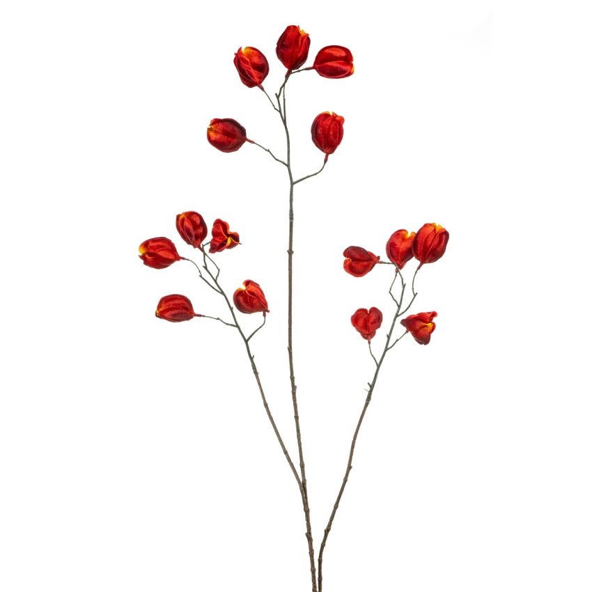 Physalis spray red 80cm