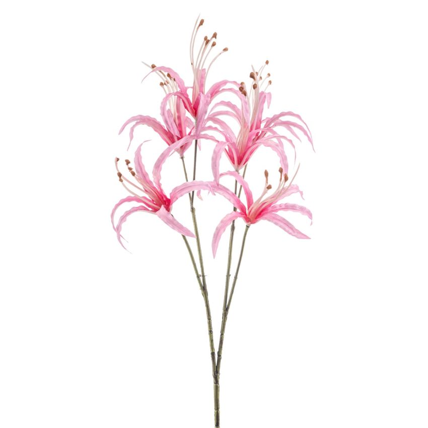Nerine spray pink 55cm