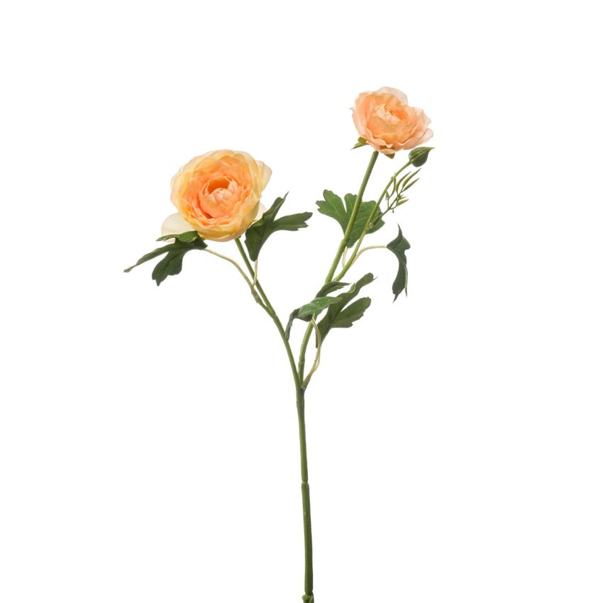 Ranunculus spray lt peach 46cm