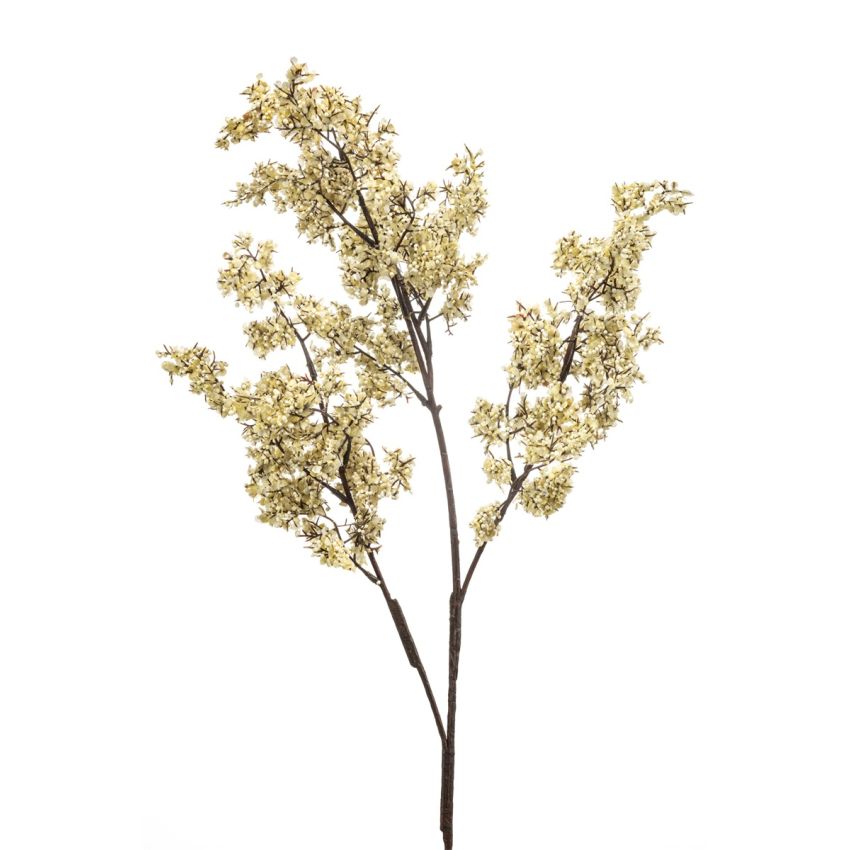 Statice spray cream 80cm