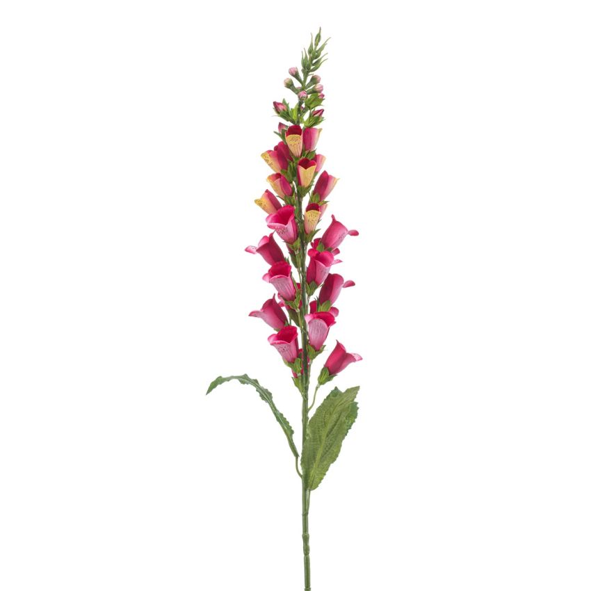 Digitalis spray fuchsia/yellow 97cm