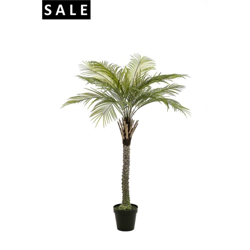 Phoenix palm deluxe 260cm (knock-down packing)