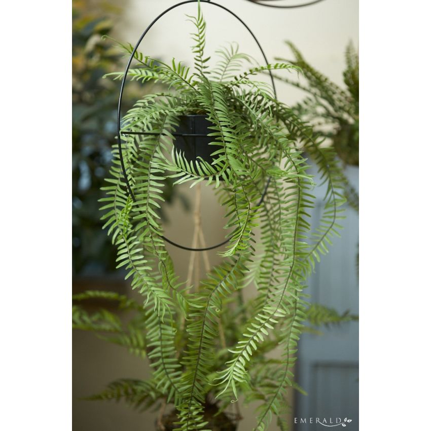 Fern in metal hanging ring 90cm
