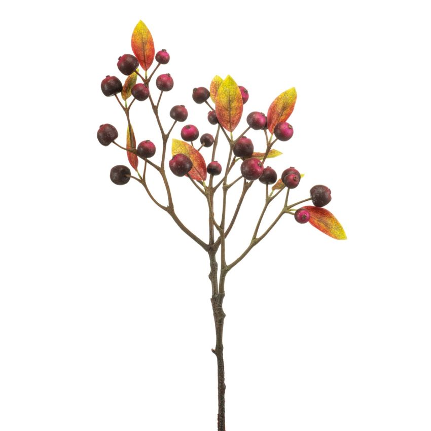 Crab apple spray purple 70cm