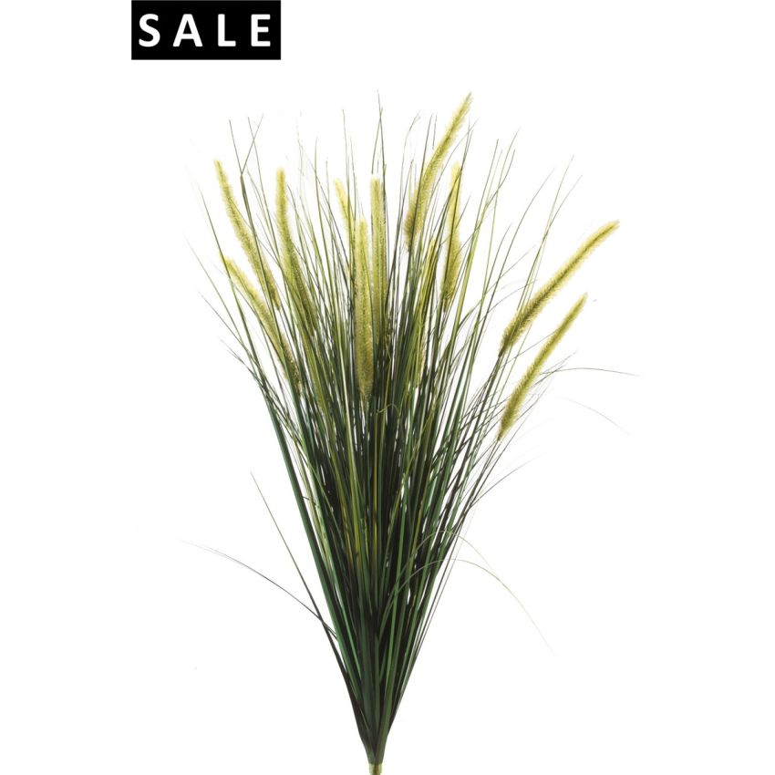 Foxtail grass bush 90cm