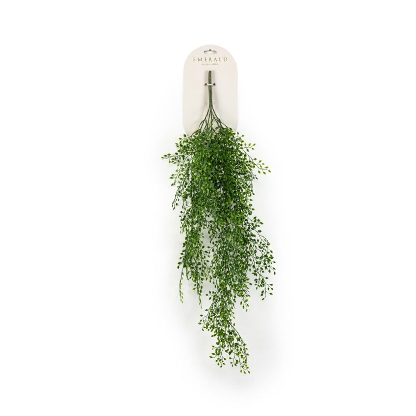 Jasmin mini hanging bush 80cm