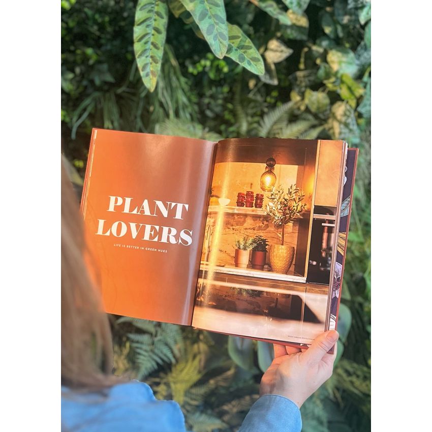 Winter Celebration Lookbook