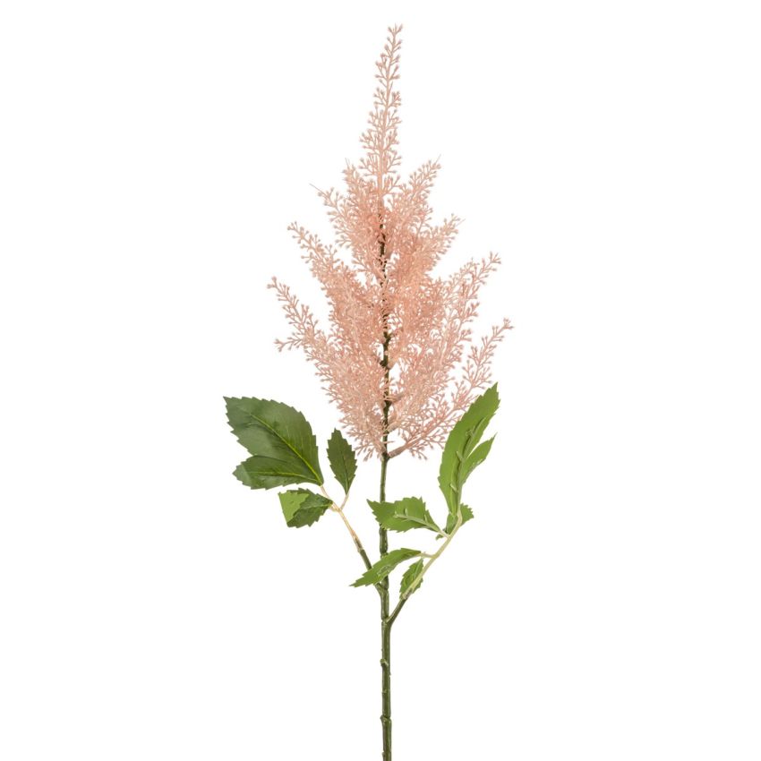 Astilbe spray lt pink 70cm