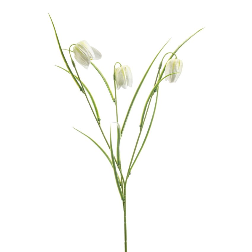Fritillaria spray white/green 53cm