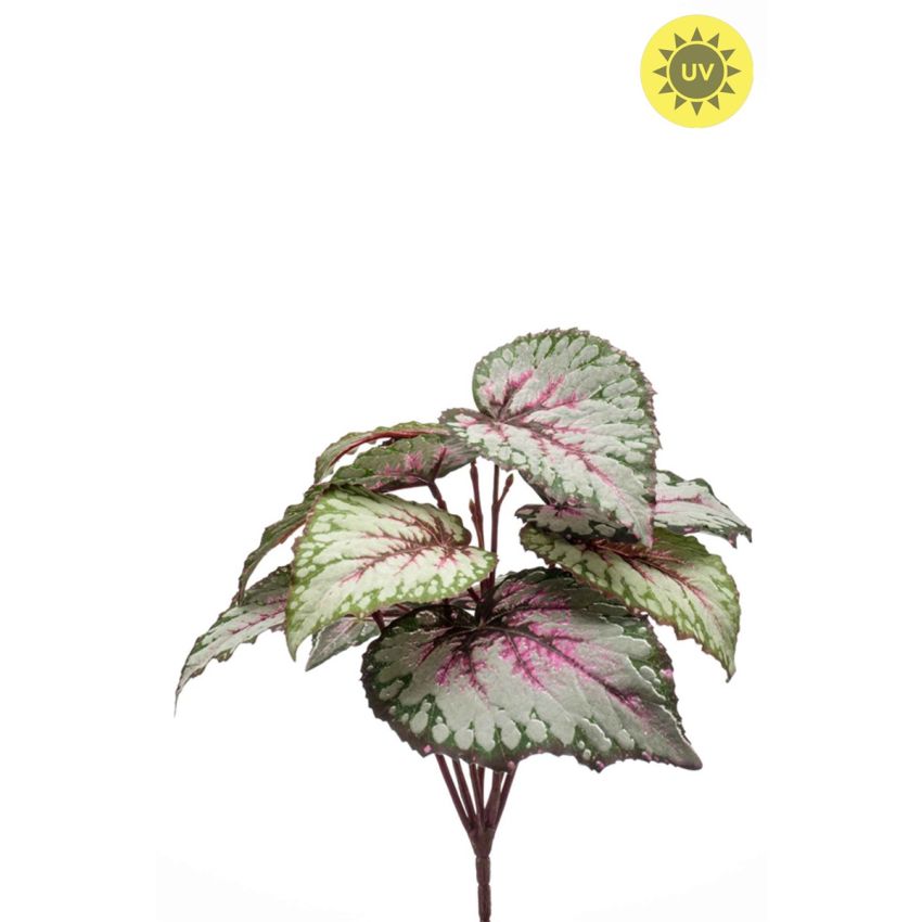 Begonia leaves bush UV grey/pink 25cm