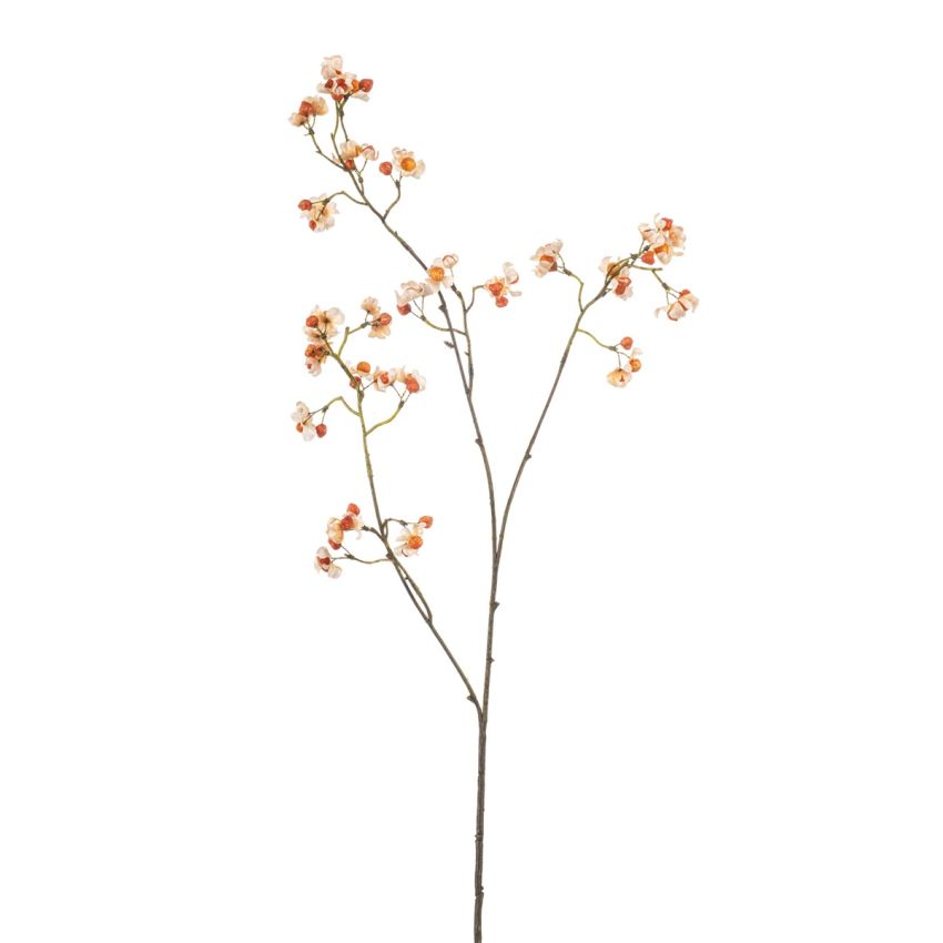 Euonymus spray x3 cream/orange 90cm