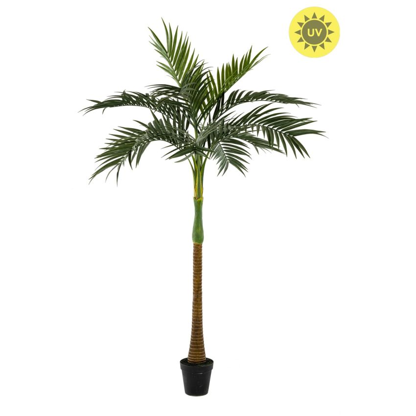 Palm UV 245cm (knock down packing)