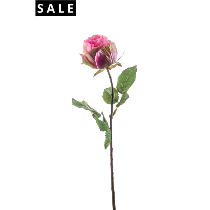 Rose femke spray hot pink 57cm