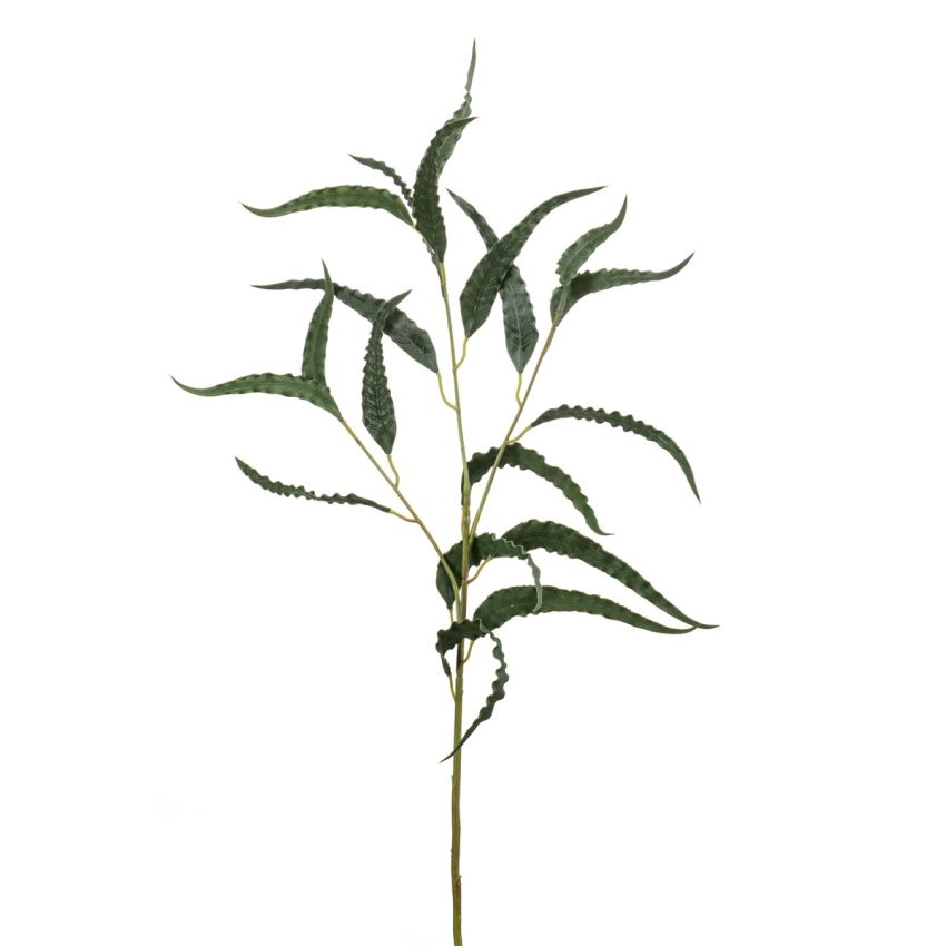 Eucalyptus curly spray green/grey 75cm