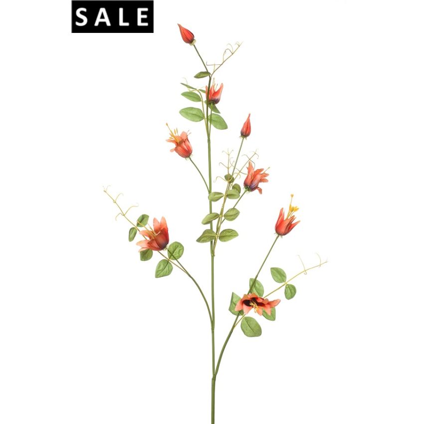 Clematis spray orange 115cm