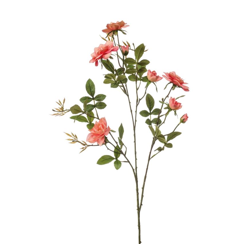 Rose loes spray coral 90cm