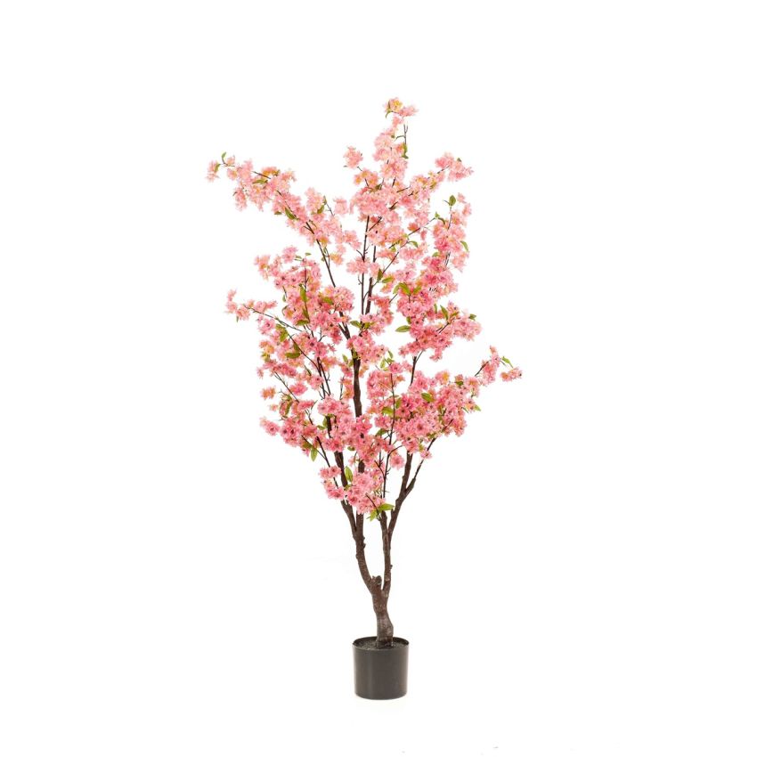 Blossom cherry tree pink 175cm