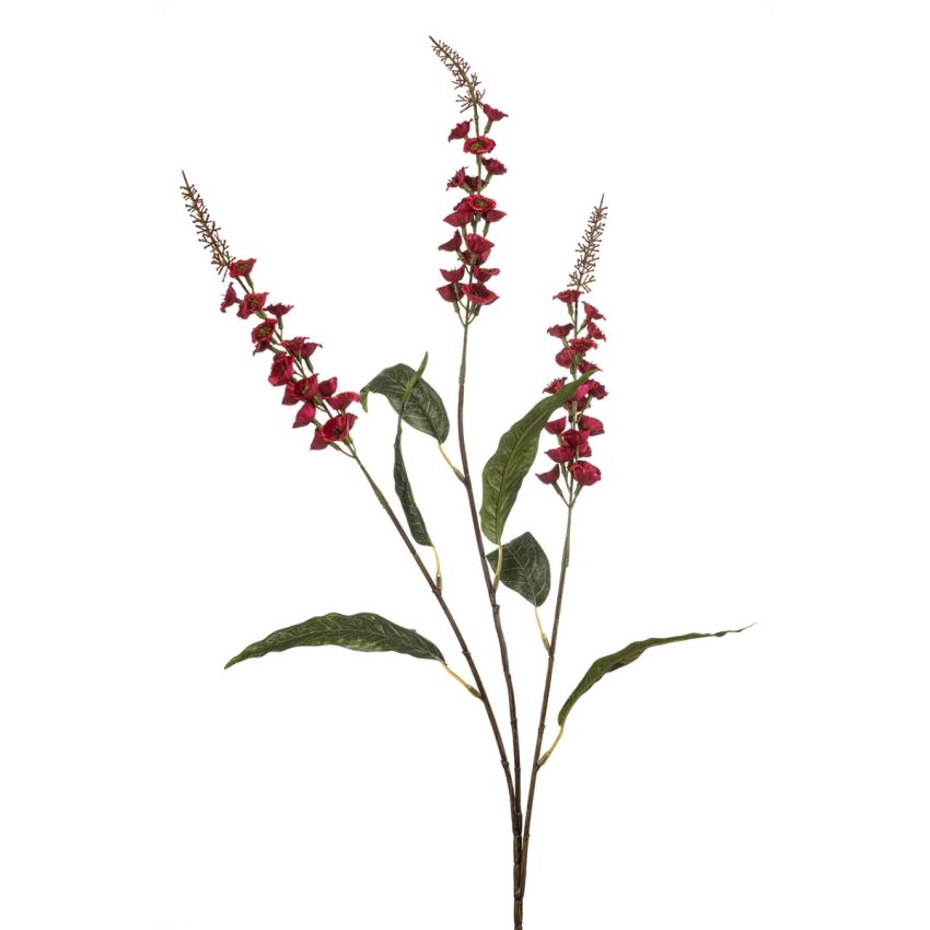 Veronica spray burgundy 97cm