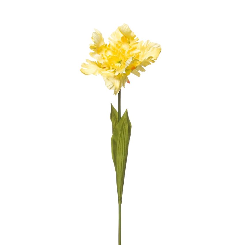 Tulip parrot spray yellow 68cm