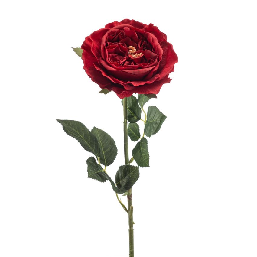 Rose manon spray RT red 62cm