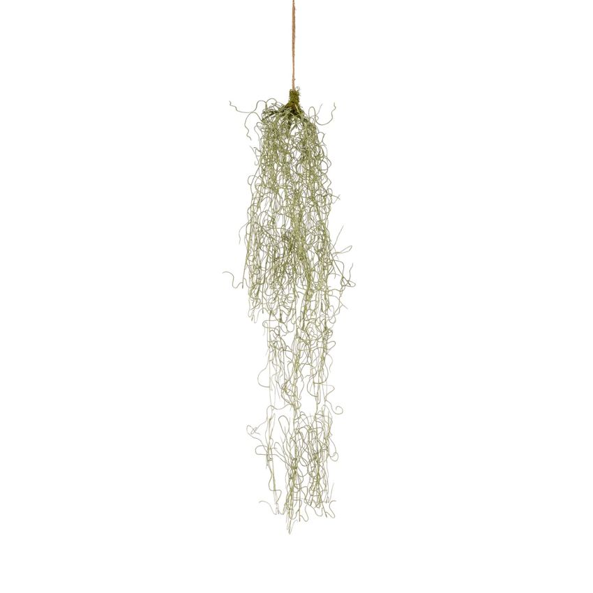 Tillandsia hanging deco  90cm