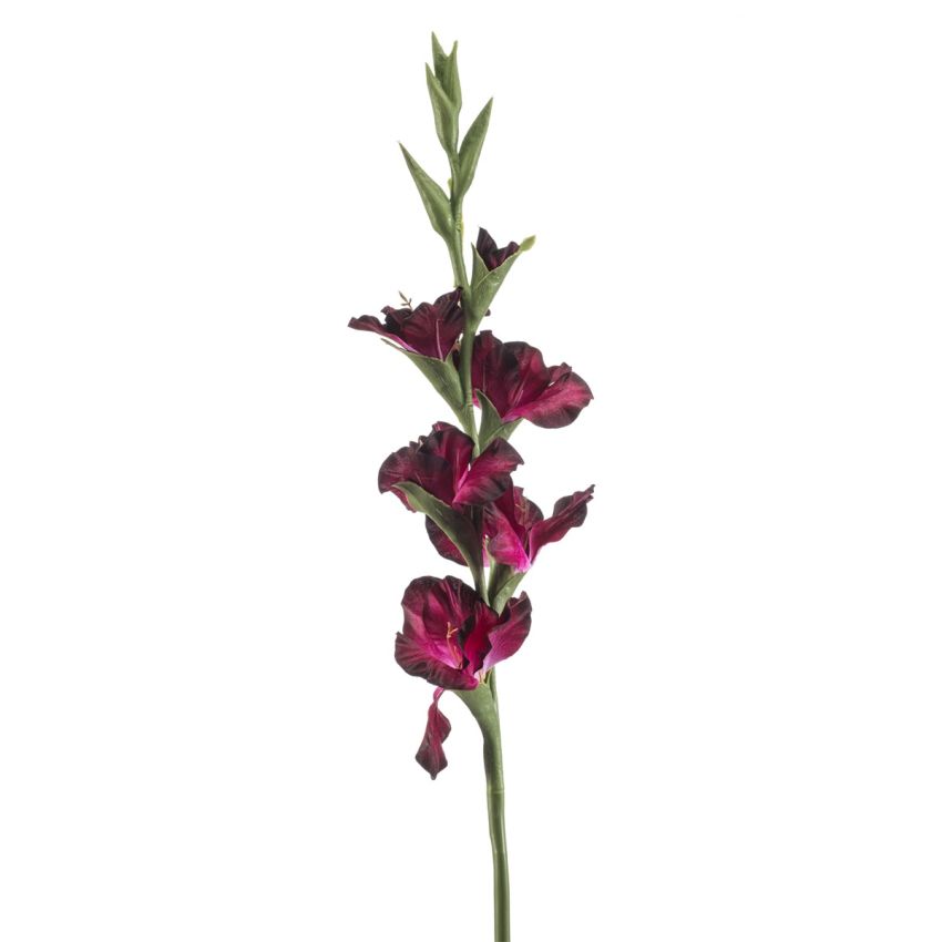 Gladiolus spray purple 88cm
