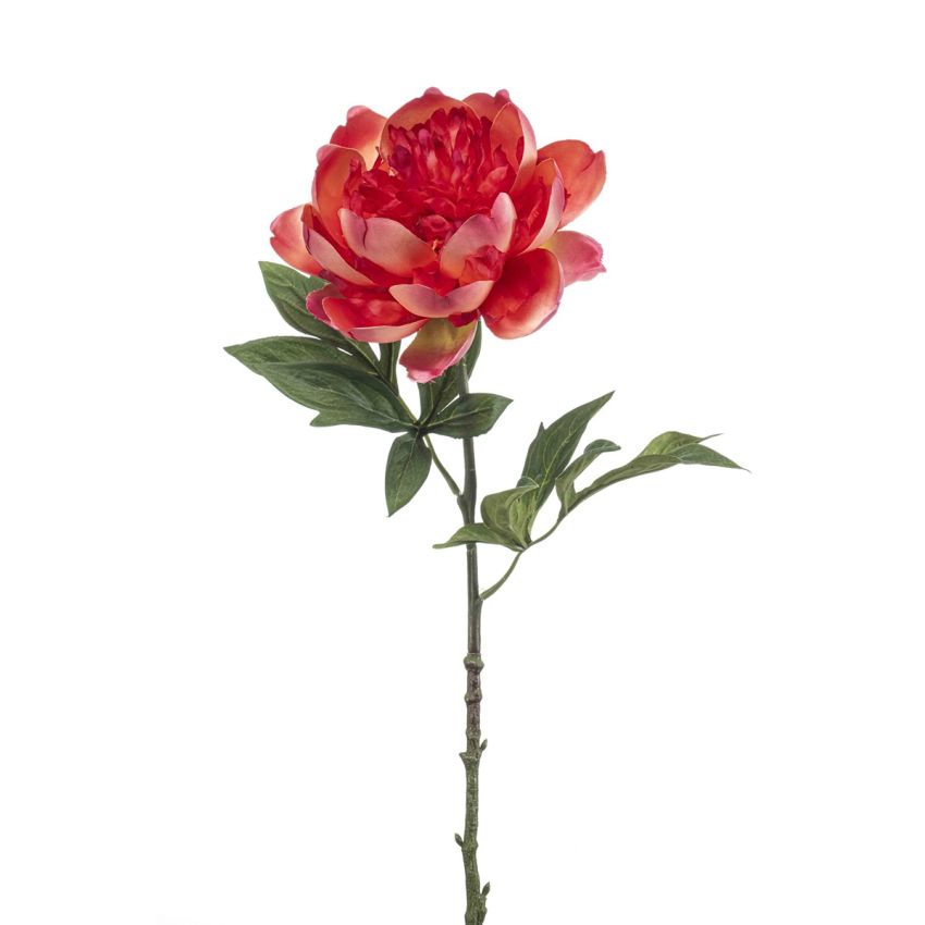 Peony spray coral 55cm