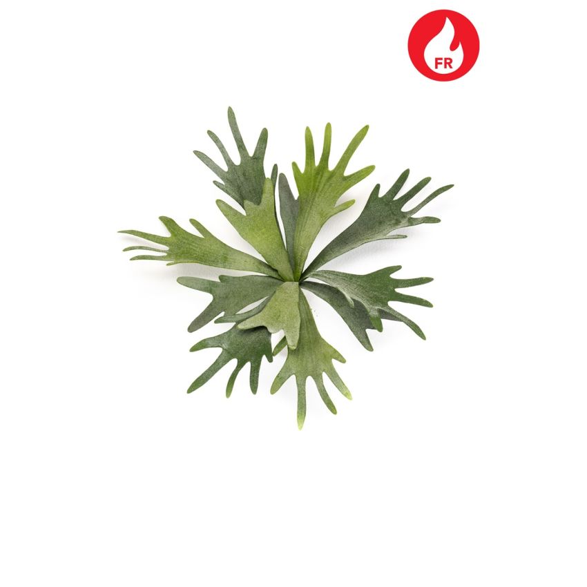 Fern staghorn bush FR 35cm