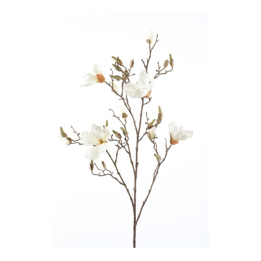 Magnolia spray cream 105cm