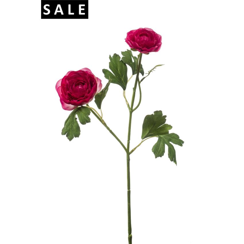 Ranunculus spray beauty 46cm