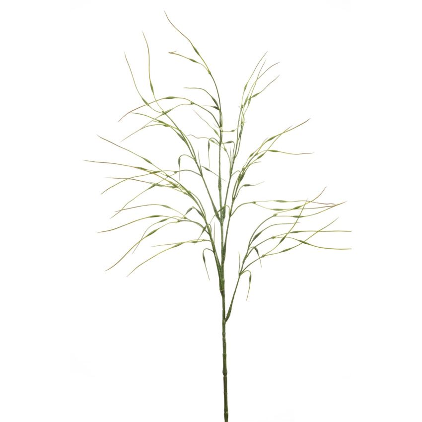 Stipa spray green 80cm