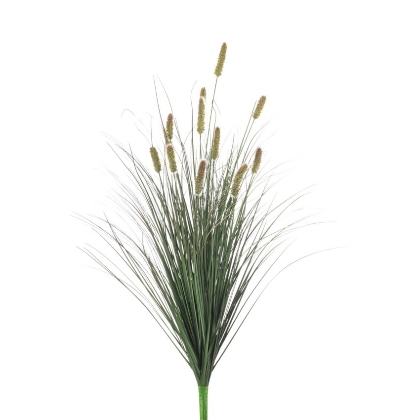 Pennisetum bush 90cm