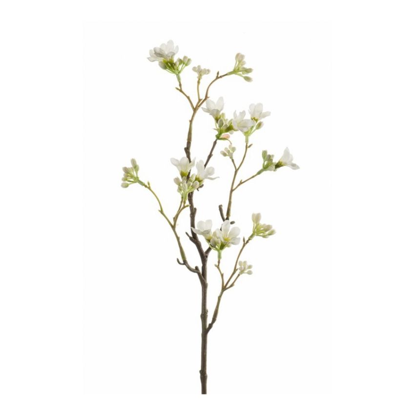 Seven sons flower spray white 50cm